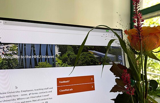 Blick auf einen Monitor und dort die Startseite des Intranets
