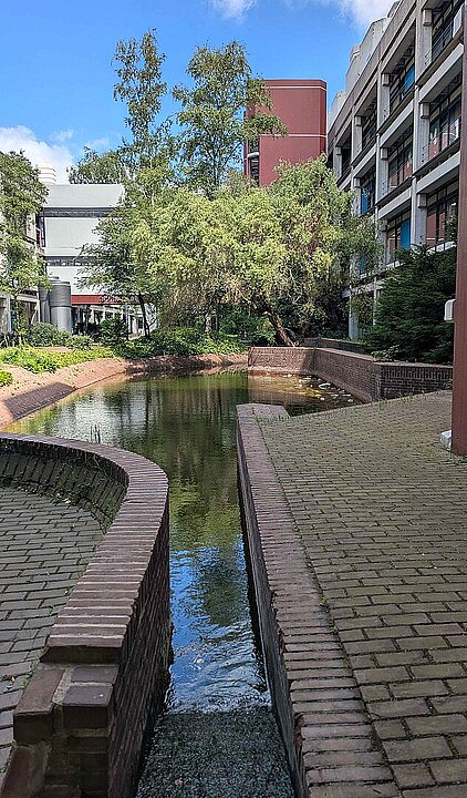 Eine Wassertreppe im Vordergrund, die in ein flaches Becken führt.
