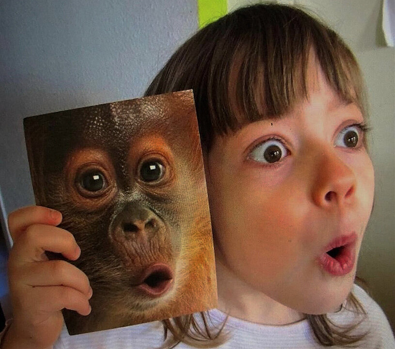 Fotos eines Mädchens, die ein Foto eines Affen neben sich hochhält. Das Mädchen macht den Gesichtsausdruck des Affen nach.