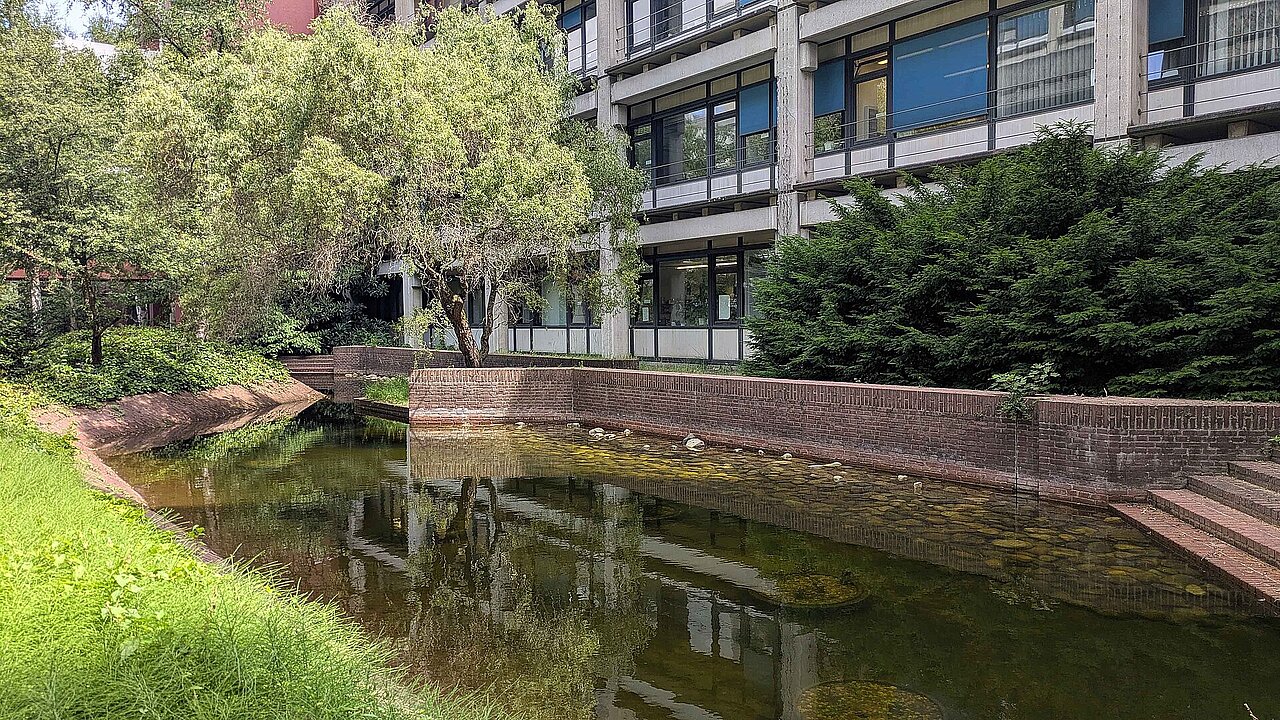 Gras im Vordergrund ein flaches Wasserbecken mittig