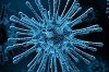 Corona Virus blau gefärbt